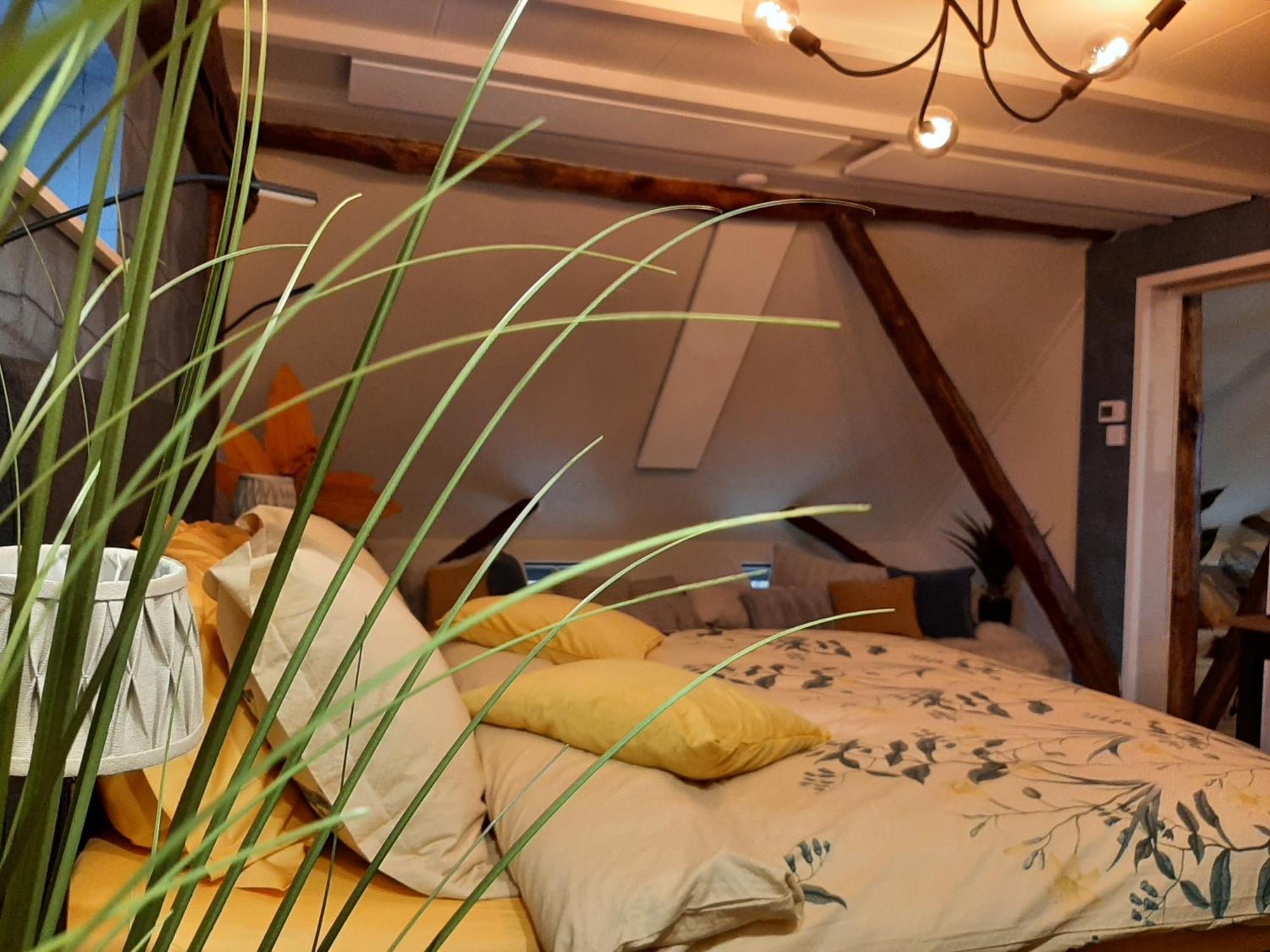 Loft De Hooizolder Met Sauna Bij Te Boeken Gees Kültér fotó